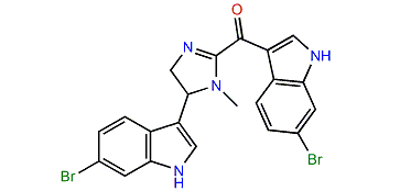 Topsentin C